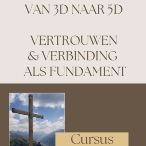 Cursus 3D naar 5D ondernemen