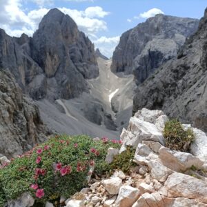 Sacred Body & Soul - The Field