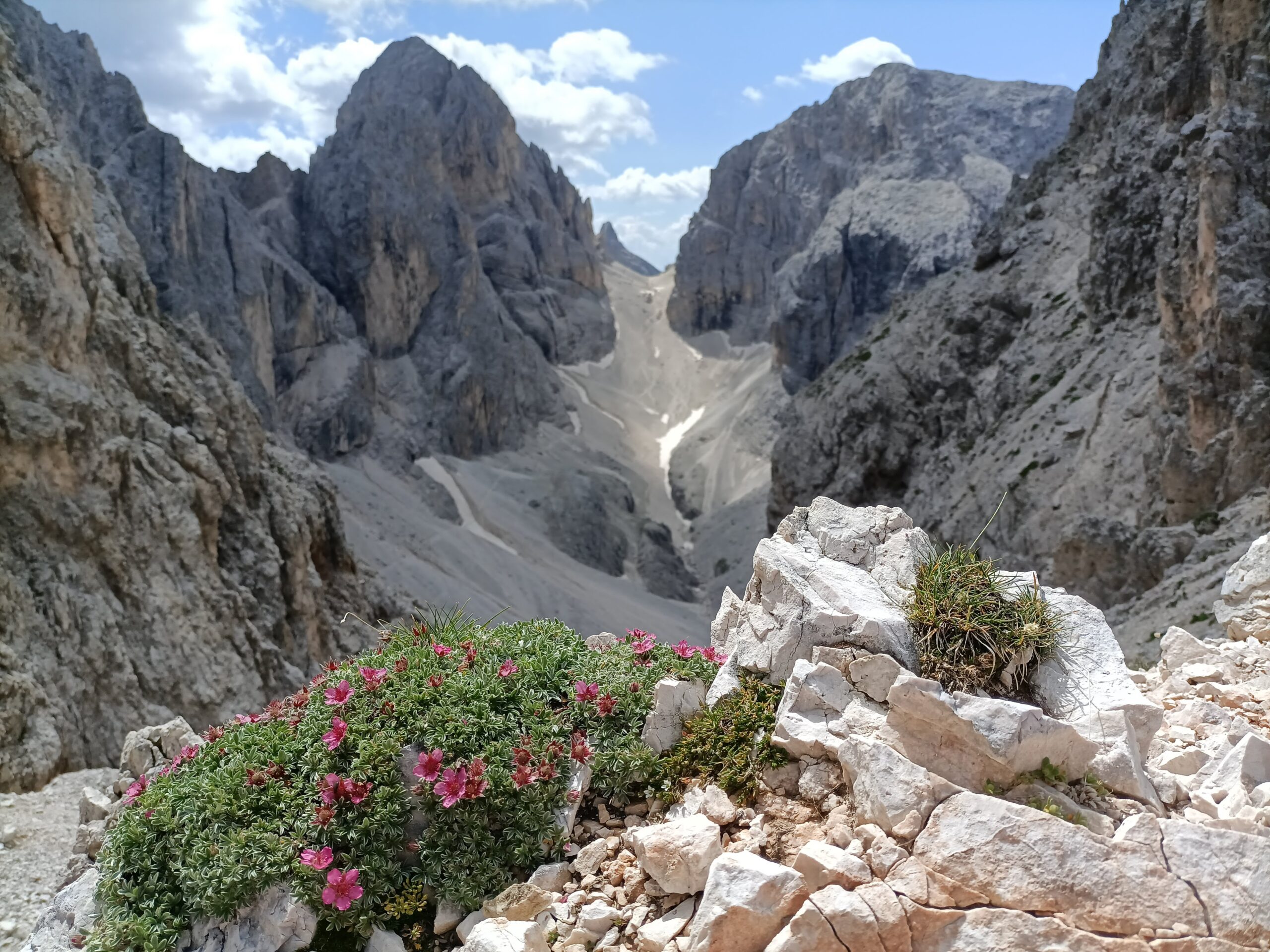 Sacred Body & Soul - The Field